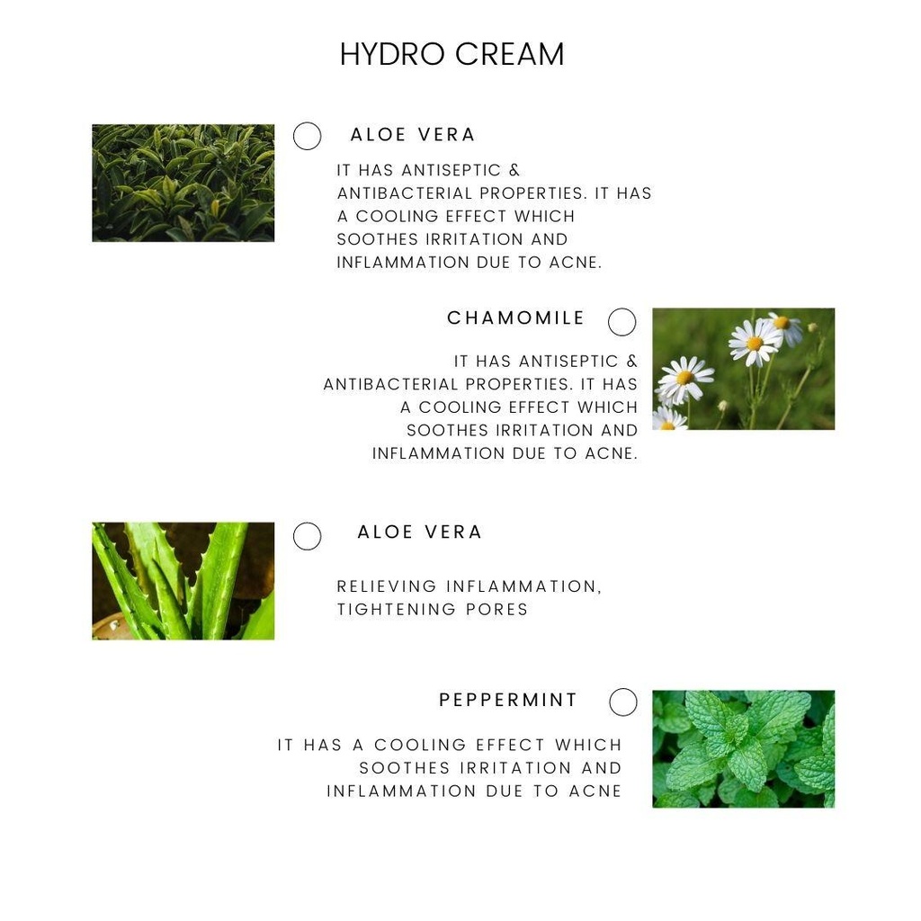 6-Ingredients.jpg
