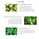 5-Ingredients-1.jpg