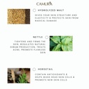 4-Ingredients.jpg